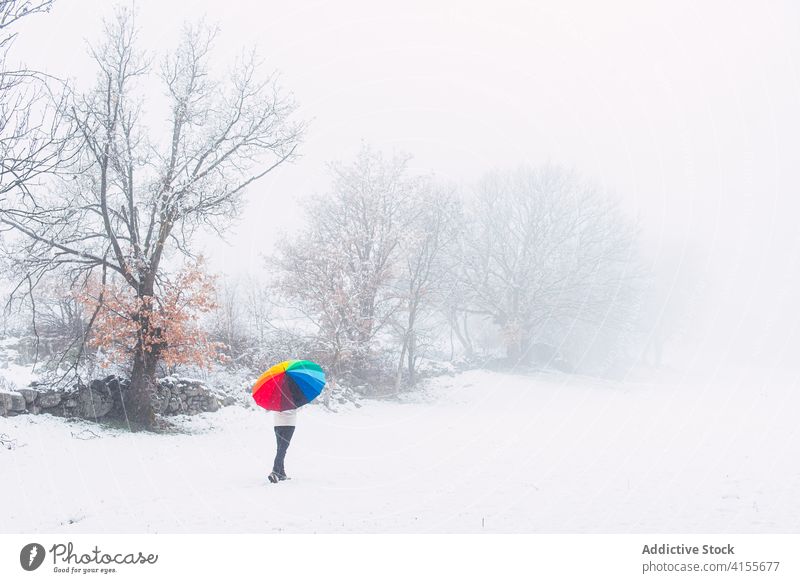 Unbekannte Person geht im Winter durch den Wald Park farbenfroh Regenschirm Schnee Schneefall Spaziergang kalt Saison Straße Pyrenäen Katalonien Spanien Wetter