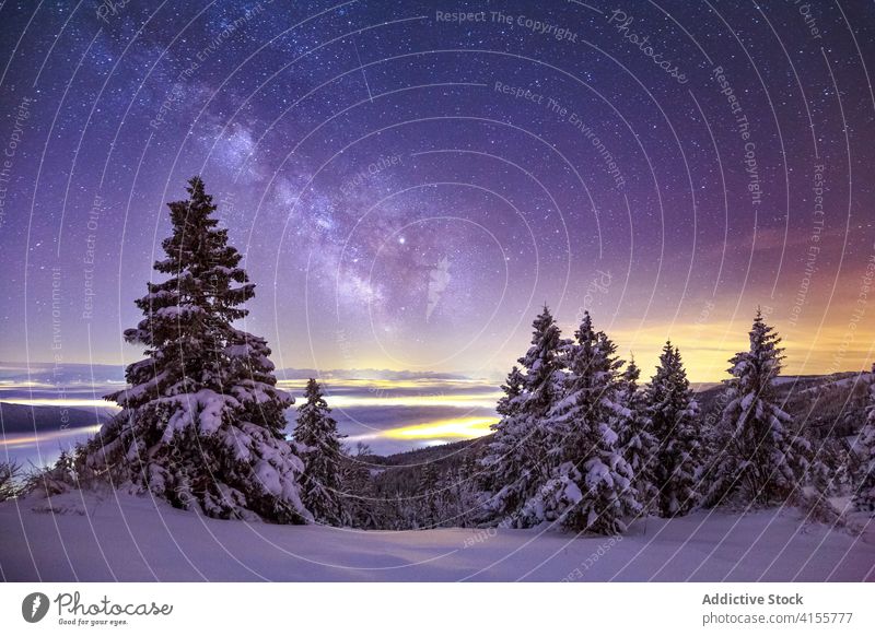 Polarlichter über verschneitem Winterwald Himmel Milchstrasse Wald Schnee nördlich nadelhaltig Natur Berge u. Gebirge Landschaft Winterzeit malerisch Baum