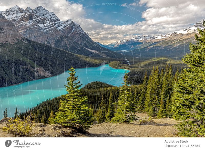 Malerischer See, umgeben von Bergen und Wäldern Berge u. Gebirge Wald Landschaft malerisch Reflexion & Spiegelung farbenfroh Natur Umwelt wild Kanada