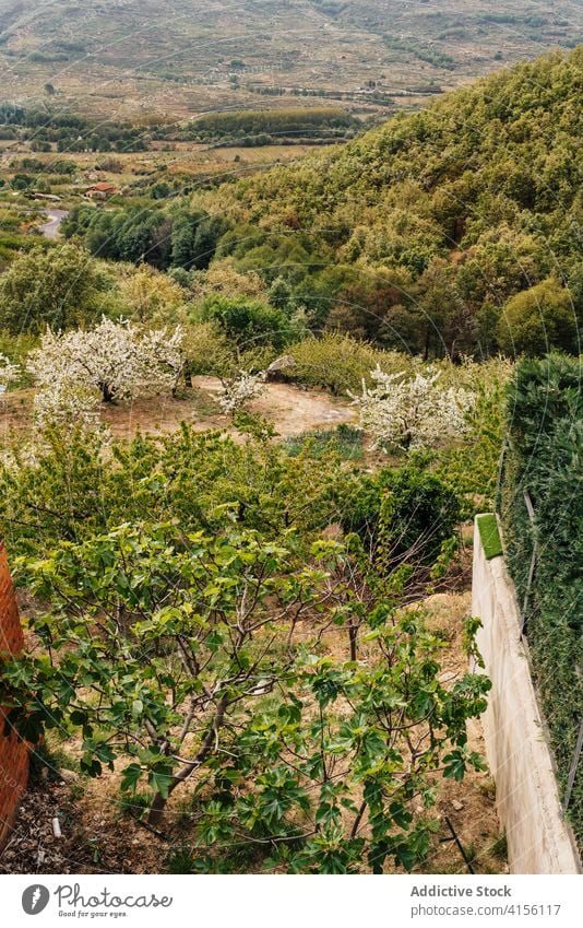 Blick auf das grüne Tal im Sommer Hochland Landschaft malerisch Natur Hügel wunderbar valle del jerte Cacere Spanien Freiheit Umwelt ländlich friedlich