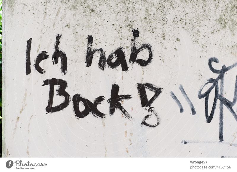 Ich hab Bock! steht mit schwarzer Farbe auf eine graue Wand geschrieben haben Redewendung Redensart Graffito Schrift Schriftzug Graffiti Schriftzeichen