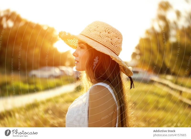 Charmante Frau auf einem Feld im Sommer Sonnenhut Wiese Sonnenuntergang Abend Angebot sorgenfrei sich[Akk] entspannen stehen Natur romantisch ruhen friedlich