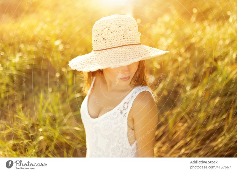 Charmante Frau auf einem Feld im Sommer Sonnenhut Wiese Sonnenuntergang Abend Angebot sorgenfrei sich[Akk] entspannen stehen Lächeln Natur genießen heiter