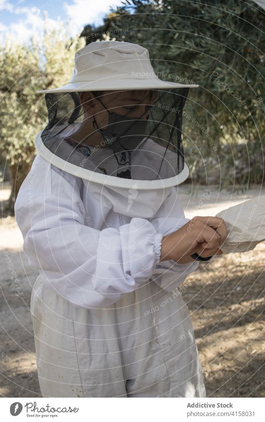 Imkerin bei der Arbeit im Bienenstock Frau Bienenkorb behüten Uniform professionell Handschuh angezogen Garten Sommer Mundschutz Tracht Gerät Sicherheit