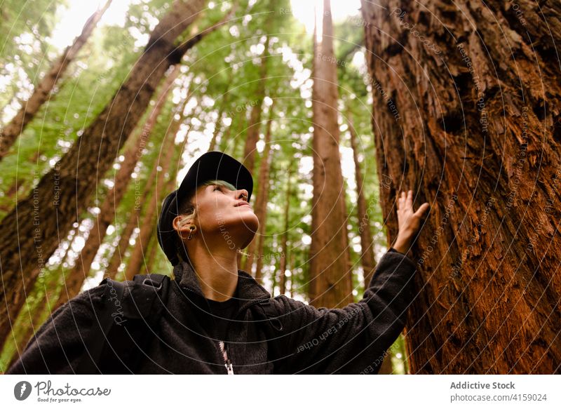 Reisende Frau in der Nähe eines großen Baumes im Wald Tourist riesig Natur Urlaub Sequoia Wälder natürlich monte cabezon naturdenkmal der sequoias