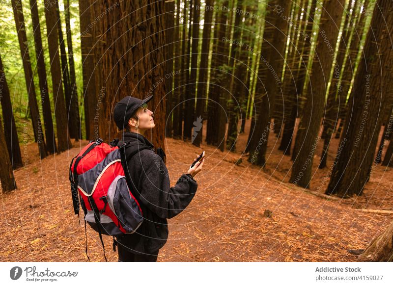 Rucksacktourist mit GPS-Navigator im Wald Gps navigieren Wälder Reisender erkunden Backpacker sich orientieren Anleitung Smartphone benutzend