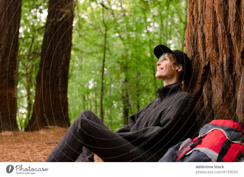 Entspannter Reisender in der Nähe von Baum im Wald riesig sich[Akk] entspannen ruhen Entdecker Rucksack reisen Trekking Naturdenkmal der Mammutbäume Kantabrien