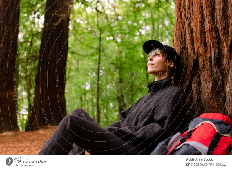 Entspannter Reisender in der Nähe von Baum im Wald riesig sich[Akk] entspannen ruhen Entdecker Rucksack reisen Trekking Naturdenkmal der Mammutbäume Kantabrien