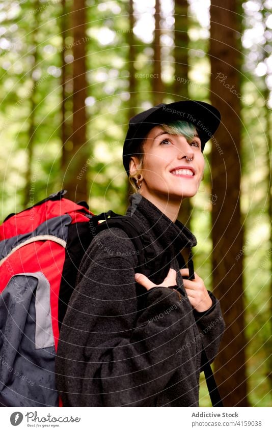 Entzückter Reisender im grünen Wald Wälder Baum Frau groß Sequoia erstaunlich Landschaft natürlich Naturdenkmal der Mammutbäume Kantabrien Spanien Tourist