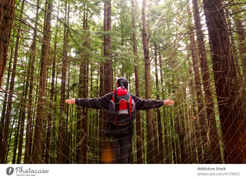 Sorgloser Entdecker genießt die Natur im Wald genießen Freiheit sorgenfrei erkunden ausdehnen Abenteuer Fernweh Wälder monte cabezon naturdenkmal der sequoias
