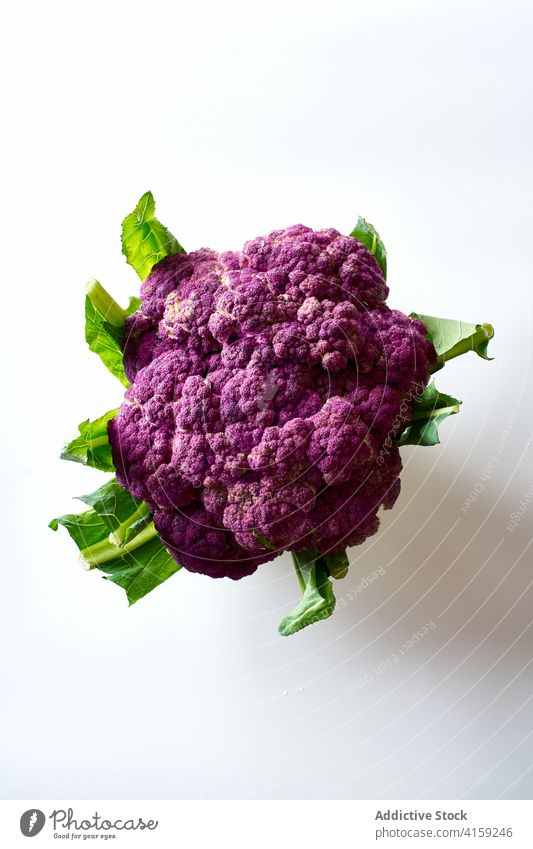 Lila Blumenkohl purpur Gemüse Lebensmittel Gesundheit organisch frisch Vegetarier Kohlgewächse grün roh natürlich Pflanze Bestandteil Ernährung Blatt Natur