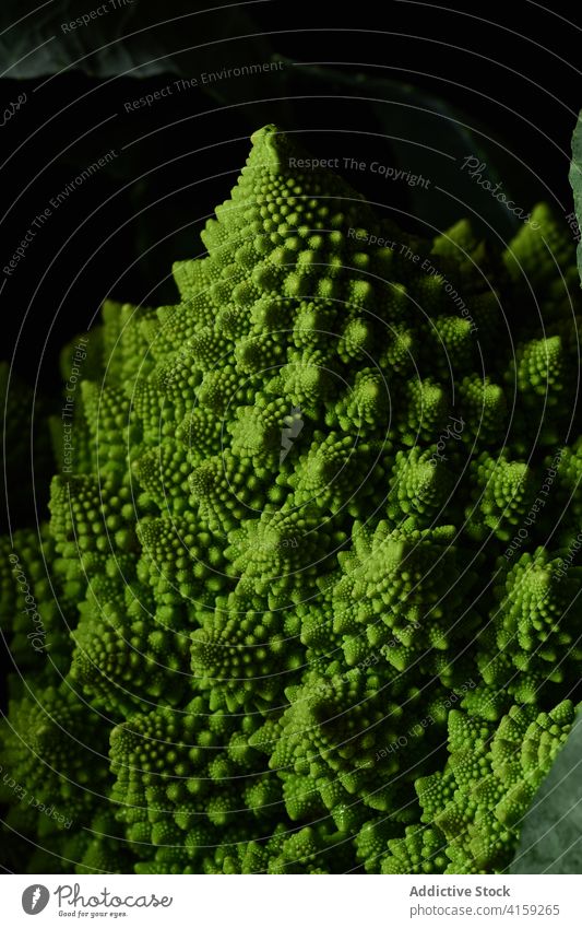 Romanesco-Brokkoli-Kohl Blumenkohl Kohlgewächse Lebensmittel Fibonacci Gemüse im Innenbereich weiß Stillleben sehr wenige Nahaufnahme grün Gesundheit Vegetarier
