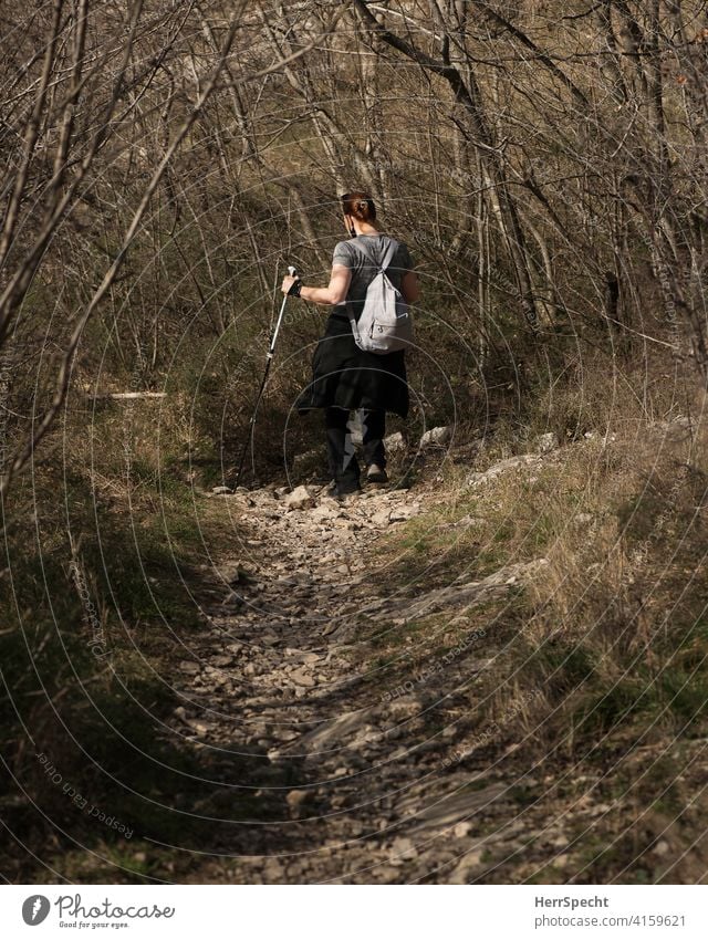 Wanderin mit Stöcken bergab gehend wandern Frau Rückansicht Berge u. Gebirge Natur Alpen Außenaufnahme steiniger weg Walking stick Gestrüpp Frühling Rucksack