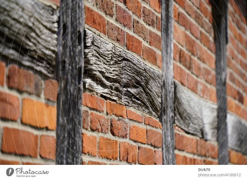 Altes Gemäuer: Ziegelwand mit Fachwerk Holz Balken Träger Fachwerkhaus Ziegelsteine Wand Fassade Detailaufnahme Stein mauerwerk Tragwerk struktur