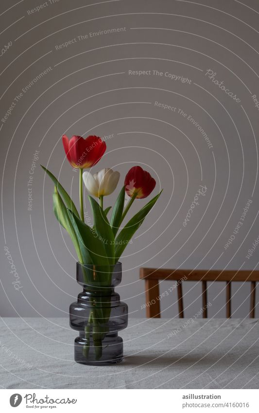 Bunte Tulpen in Vase Rot Weiß Rot bunt Freude grau Farbfleck Blumenstrauß Blüte grün rot Frühling Frühlingsbote Frühlingsblume weiß Innenaufnahme Esstisch
