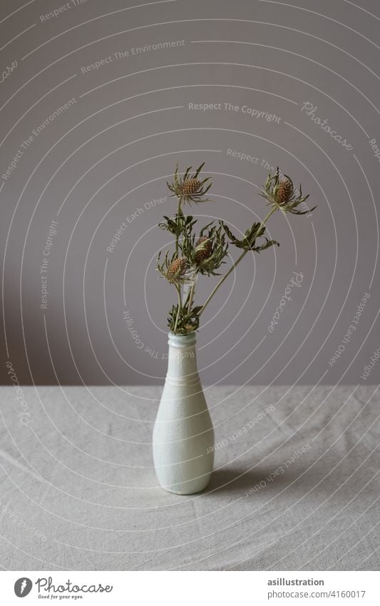 Disteln in Vase auf Esstisch Distelblüte Trockenblume vertrocknet Blumenvase grau getrocknet stachelig Pflanze tot trist melancholisch traurig schwermütig