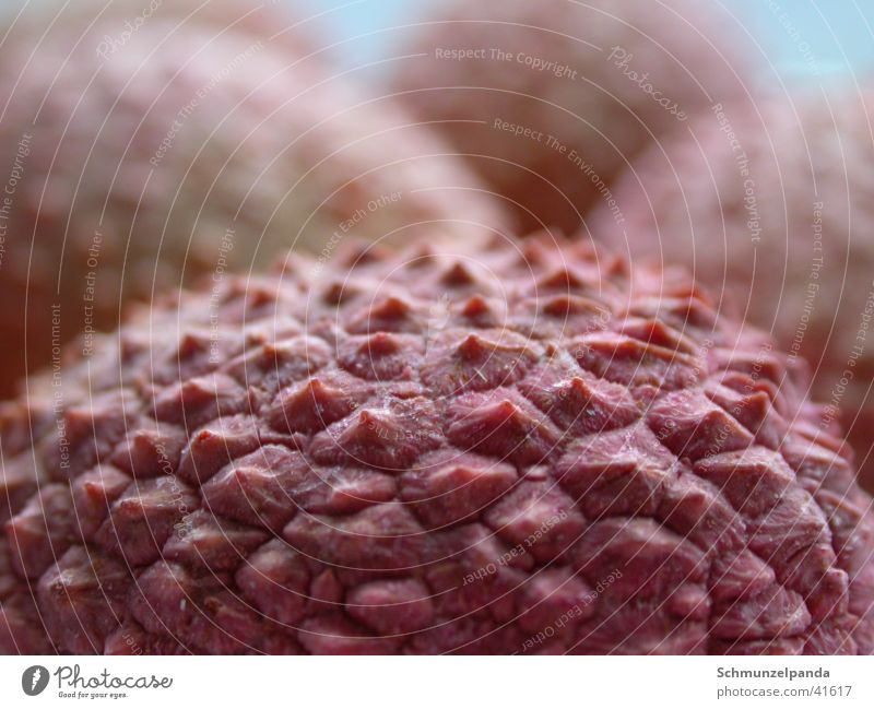Litschi Lychee rosa Gesundheit Stachel Makroaufnahme Frucht exotisch