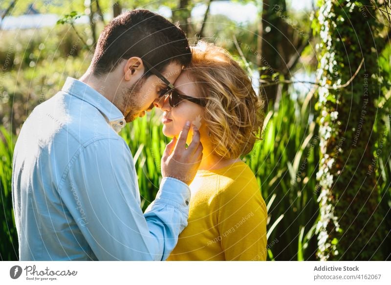 Verliebtes Paar im grünen Park Angesicht zu Angesicht berühren Angebot Liebe Partnerschaft Sommer Natur filigran Wange berühren Windstille Zusammensein