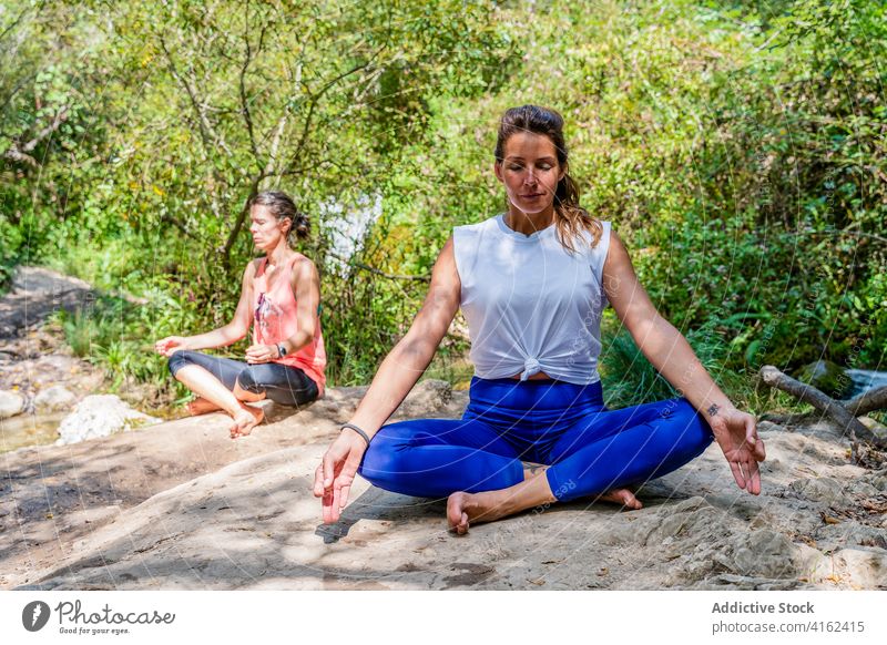 Achtsame Frauen mit Lehrer in Namasté-Haltung im Park Ausbilderin Namaste Yoga Augen geschlossen üben beweglich Beine gekreuzt eingedenk Sprit Hand padmasana