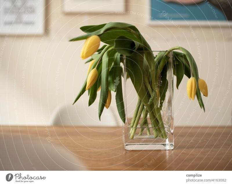 Baby, wenn ich down bin Tulpen blühen Vase kopf hängen lassen köpfe hängen lassen Wasser Vase mit Blumen Dekoration & Verzierung Küchentisch Down betrübt