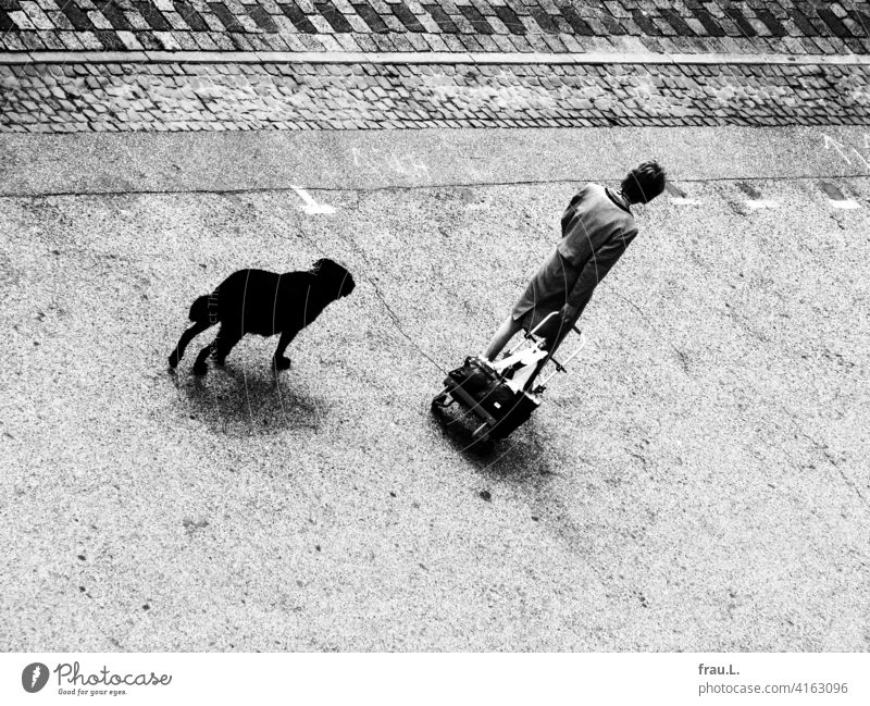 Eine Frau mit Hund und Hackenporsche Kostüm einkaufen shoppen gehen Perücke Straße Platz Spaziergang Haustier