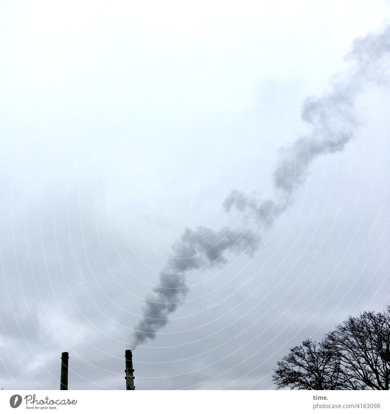 (r)aufgeblasen schornstein rauch baum himmel grau industrie kraftwerk schlot umwelt brennen rauchen verschmutzung abgas hoch wind turm