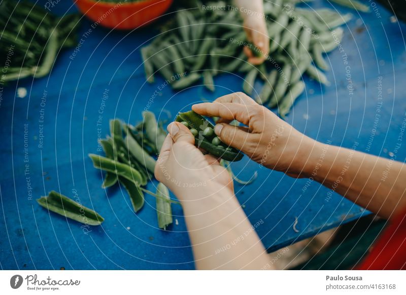 Close up Hände schälen Erbsen angeblättert sich[Akk] schälen Farbfoto Ernährung Hintergrund frisch Lebensmittel Gemüse Gesundheit Essen zubereiten grün
