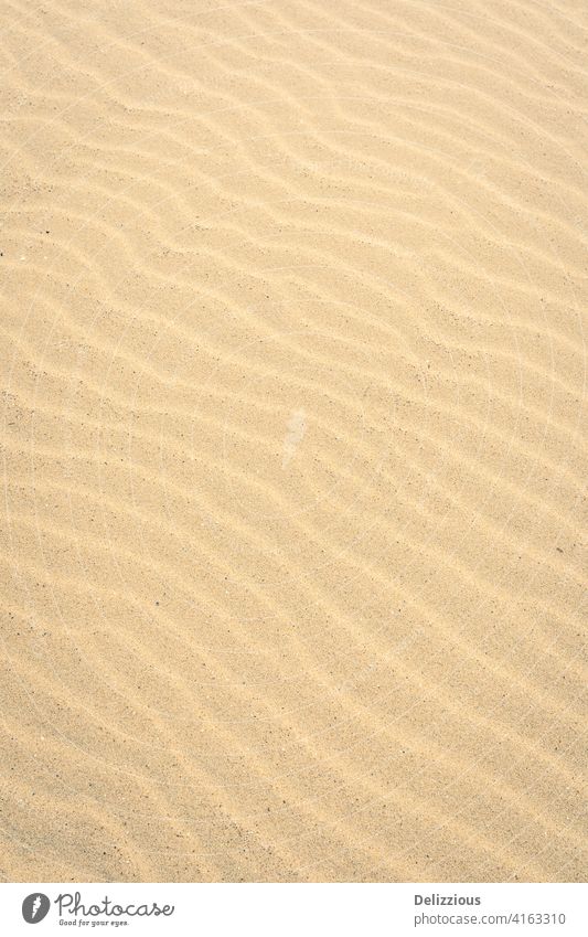 Nahaufnahme eines Sandmusters an der holländischen Küste, keine Menschen Landschaft niemand Zeeland Niederlande Strand schön redaktionell Natur Ausflugsziel