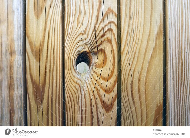 geschlossener Holzzaun mit einem Astloch / Abgrenzung / Holzmaserung / Sichtschutz Maserung Zaun braun hellbraun Strukturen & Formen Naturprodukt