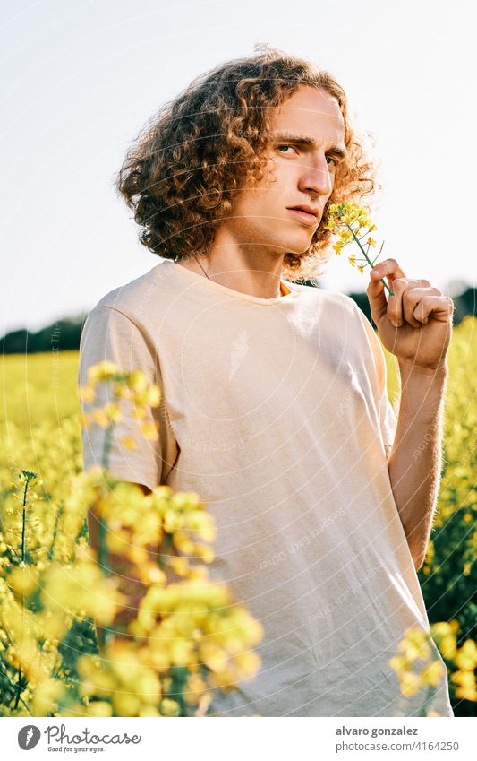 Porträt eines jungen Mannes mit lockigem Haar in einem Rapsfeld an einem sonnigen Frühlingstag gelb Natur Landschaft che männlich Typ gutaussehend Person