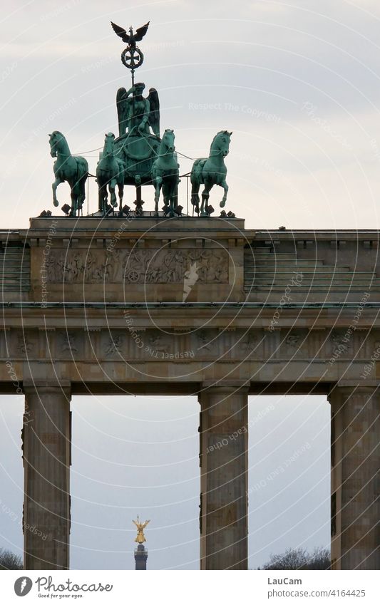 Goldelse beim Blick durch das Brandenburger Tor Siegessäule Wahrzeichen Berlin Tourismus Hauptstadt touristenmagnet Touristenattraktion Geschichte historisch