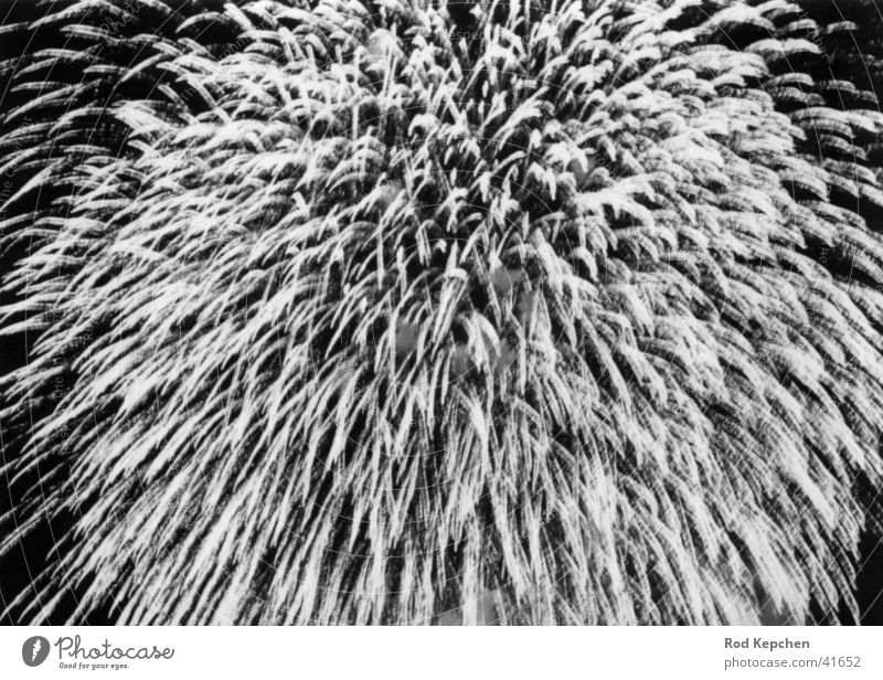 Firework006 Nacht Jahrmarkt Silvester u. Neujahr Langzeitbelichtung Freizeit & Hobby Feuerwerk Reaktionen u. Effekte Himmel Stern (Symbol) Bewegung