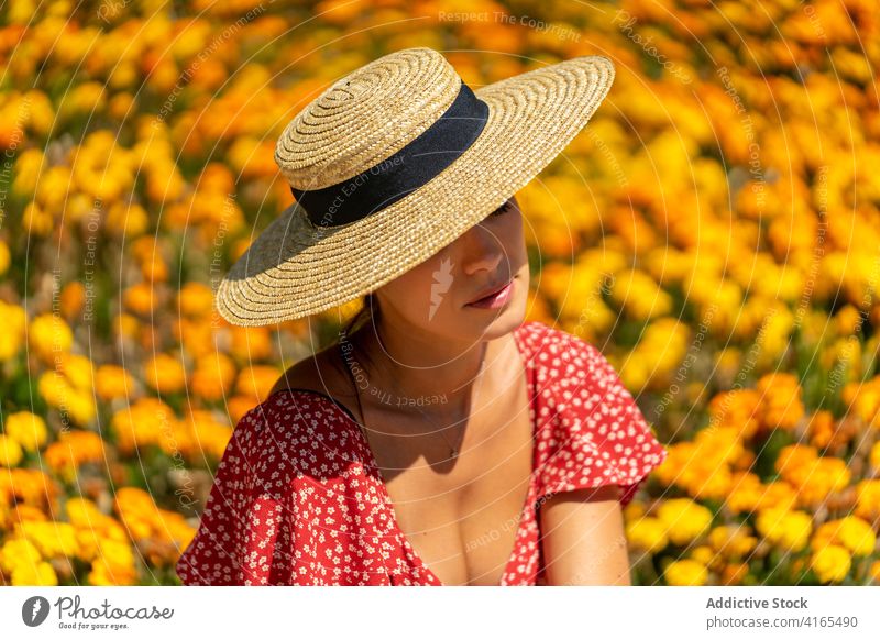 Lächelnde Frau mit Hut entspannt sich im botanischen Garten Sommer sich[Akk] entspannen sorgenfrei Kleid Blume Blütezeit Blumenbeet ruhen Kälte sitzen Strohhut