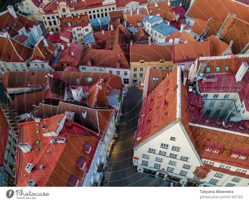 Luftaufnahme der Altstadt von Tallinn Estland alt Stadt Wahrzeichen Antenne mittelalterlich Dach berühmt rot Architektur Gebäude Großstadt baltisch reisen