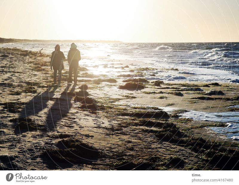 Novembersonne ostsee meer strand wasser spazieren wild kühl sonnig gegenlicht sonnenlicht horizont urlaub erholung silhouette feierabend stimmung