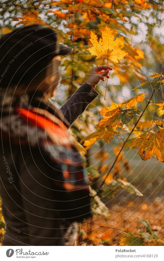 #A9# Herbstlaub im Park Außenaufnahme Herbstwetter wandern positiv Spaziergang Haare & Frisuren draußensein erleben Natur Junge Frau Herbststimmung