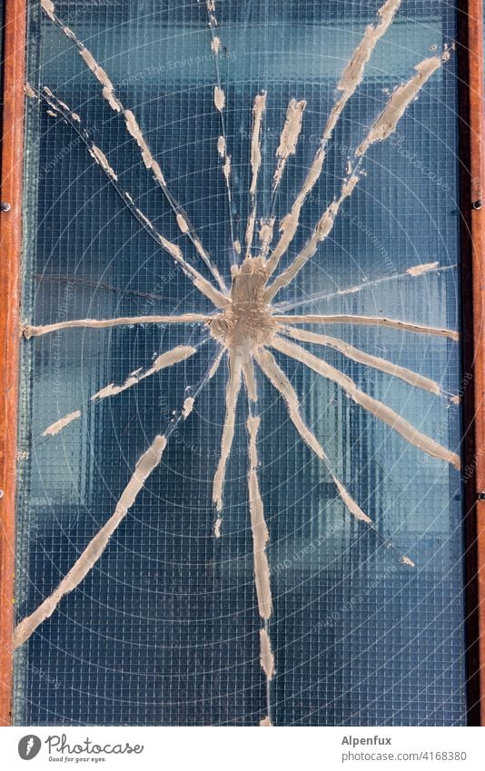 Tarantula Spinne Spinnennetz Glasscheibe glasbruch Farbfoto Nahaufnahme Fensterscheibe Menschenleer Außenaufnahme Zerstörung Scherbe Detailaufnahme gebrochen