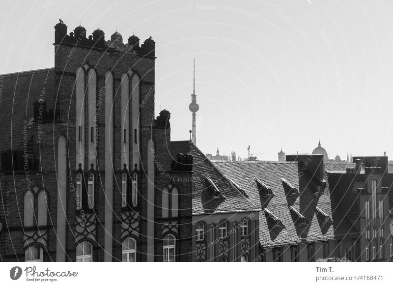Blick vom  Charite Campus  zum Berliner Fernsehturm Charité s/w Dach Schwarzweißfoto Architektur Stadt Außenaufnahme Menschenleer Tag Stadtzentrum Hauptstadt