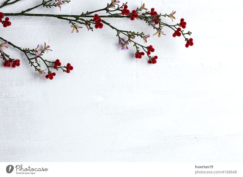 Weißes Holz Planke Textur für Hintergrund mit Blumen weiß Blumenstrauß Tisch Oberfläche Top Wand Holzplatte Ansicht Schreibtisch Frühling Natur Schönheit