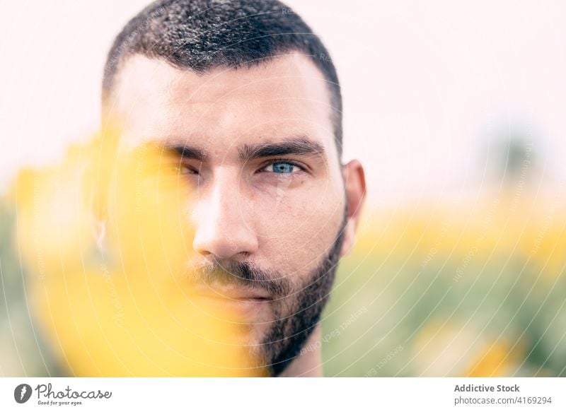 Bärtiger Mann steht inmitten eines Sonnenblumenfeldes Feld Vollbart Sommer ernst Blume Natur Porträt Blütezeit Erwachsener männlich Menschliches Gesicht