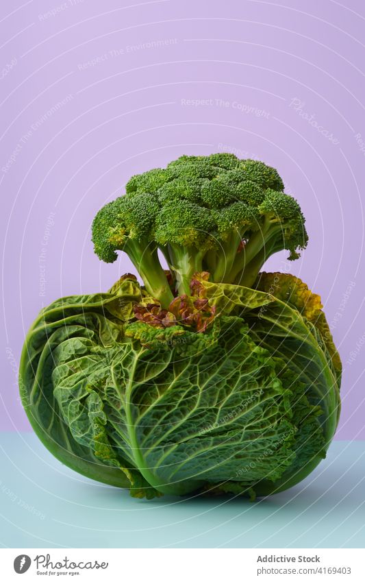 Stilleben mit Wirsingkohl Lebensmittel weiß Bestandteil grün Licht im Innenbereich Atelier Veganer Vegetarier Gesundheit Lebensmittelgeschäft kaufen