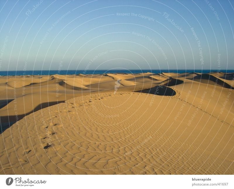 Vergängliche Spuren Muster gelb Horizont Ferien & Urlaub & Reisen Sand Stranddüne Strukturen & Formen Himmel gold Linie Farbe Wüste