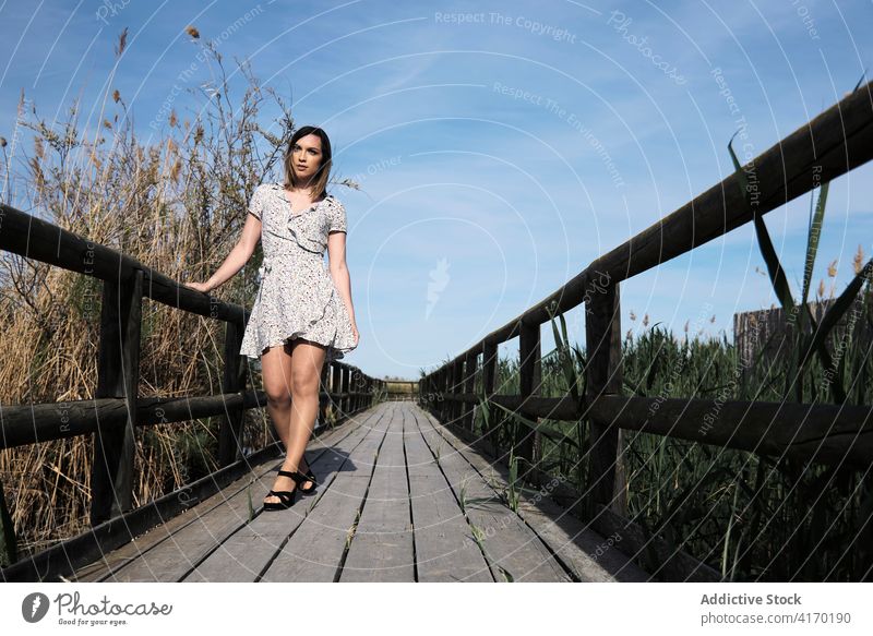 Frau stehend auf Holzbrücke über See Promenade Brücke hölzern Pier allein Sommer Natur Fluss Wasser ruhen Windstille Urlaub ruhig Landschaft Gelassenheit