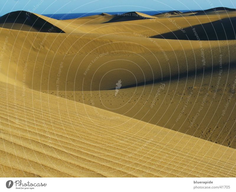 Sand soweit das Auge reicht gelb Hügel Muster Sandkorn Wellen Stranddüne Strukturen & Formen Wüste Cran Canaria