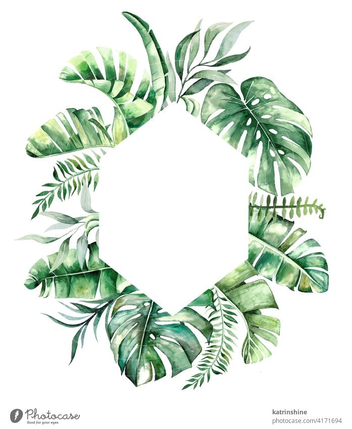 Aquarell tropische Blätter Rahmen Illustration Wasserfarbe grün Totenkranz Zeichnung Grafik u. Illustration Fensterblätter Handfläche Banane Wurmfarn Laubwerk