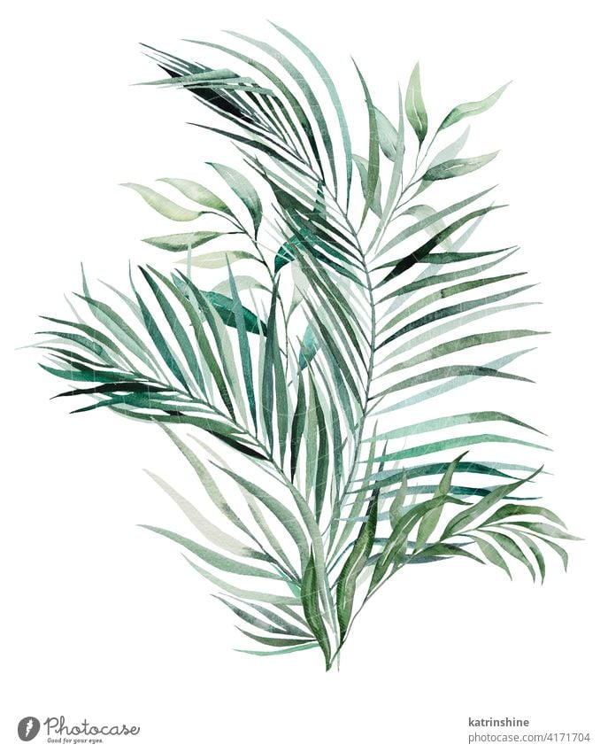 Aquarell tropische Blätter Bouquet Illustration Wasserfarbe grün Blumenstrauß Zeichnung Grafik u. Illustration Fensterblätter Handfläche Banane Wurmfarn