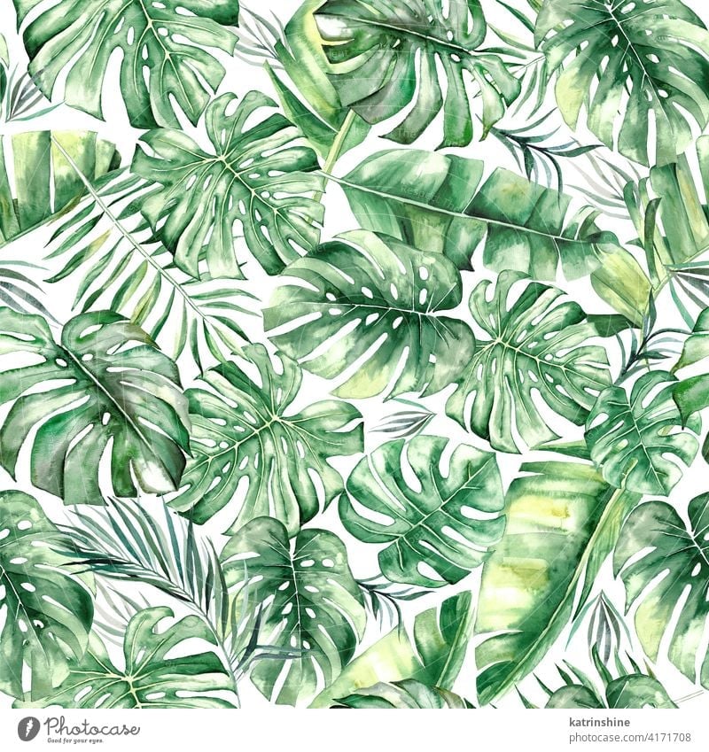 Aquarell tropische Blätter nahtlose Muster Wasserfarbe grün übergangslos Fensterblätter Handfläche Wurmfarn Banane Zeichnung Grafik u. Illustration Dschungel