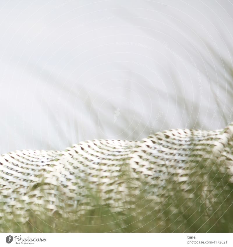 Frühling im Karton strandkorb gras strandhafer himmel geflochten versteckt ruhe rückzug privat