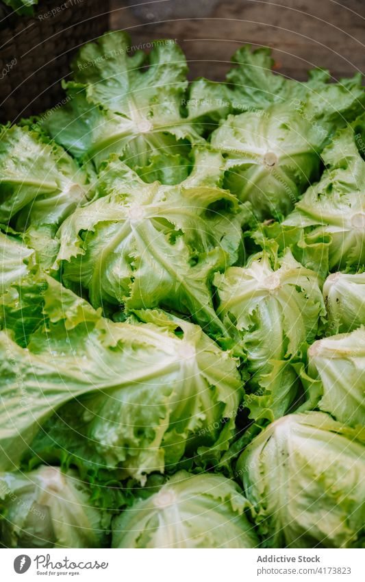 Korb mit frischem grünem Salat auf Steinoberfläche Eisberg natürlich organisch Markt Lebensmittel Ackerbau Haufen Ernte Gesundheit reif Bestandteil Gemüse