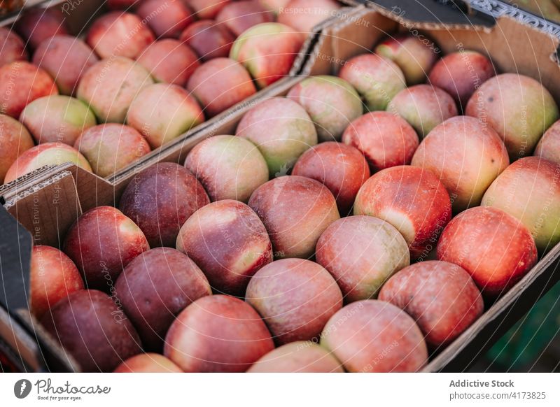 Reife Bio-Äpfel in Holzkiste Apfel frisch organisch natürlich Biografie Kasten Markt Ernte Lebensmittel Frucht Gesundheit reif Ernährung Lebensmittelgeschäft